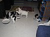 IMG_7800.JPG