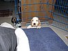 IMG_7801.JPG