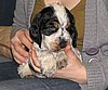 IMG_7805.JPG