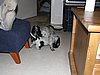 IMG_7807.JPG