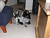 IMG_7808.JPG