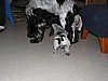 IMG_7810.JPG
