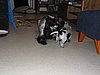 IMG_7811.JPG