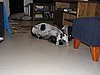 IMG_7812.JPG