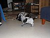 IMG_7813.JPG