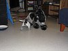 IMG_7814.JPG