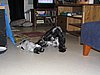 IMG_7815.JPG