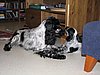 IMG_7817.JPG