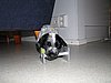 IMG_7822.JPG