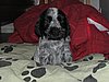 IMG_7823.JPG