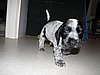 IMG_7824.JPG