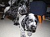 IMG_7826.JPG
