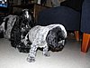 IMG_7827.JPG