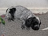 IMG_7829.JPG