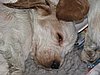 IMG_7831.JPG