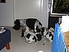 IMG_7837.JPG