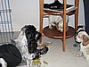 IMG_7841.JPG