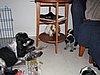 IMG_7842.JPG