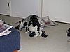 IMG_7848.JPG