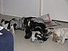 IMG_7849.JPG