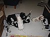 IMG_7850.JPG
