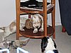 IMG_7851.JPG