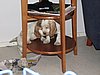 IMG_7852.JPG