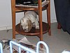 IMG_7855.JPG