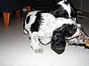 IMG_7859.JPG