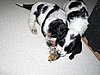 IMG_7861.JPG