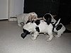 IMG_7862.JPG