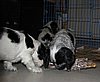 IMG_7864.JPG