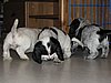 IMG_7865.JPG