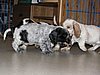 IMG_7866.JPG