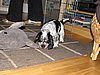 IMG_7911.JPG