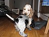 IMG_7939.JPG