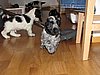 IMG_7946.JPG