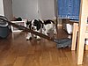 IMG_7948.JPG