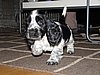 IMG_7954.JPG