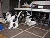 IMG_7957.JPG