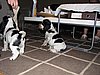 IMG_7958.JPG