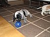 IMG_7963.JPG