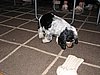 IMG_7964.JPG