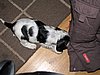 IMG_7967.JPG