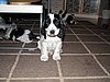 IMG_7973.JPG