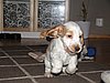 IMG_7979.JPG