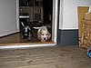IMG_7983.JPG