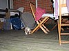 IMG_7984.JPG