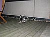 IMG_7985.JPG