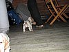 IMG_7986.JPG